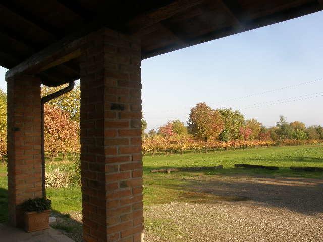 Agriturismo Bosco Del Fracasso Скандиано Экстерьер фото