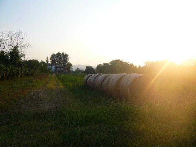 Agriturismo Bosco Del Fracasso Скандиано Экстерьер фото